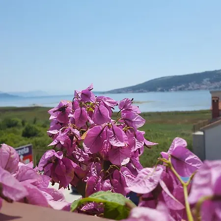Apartment Zoric
